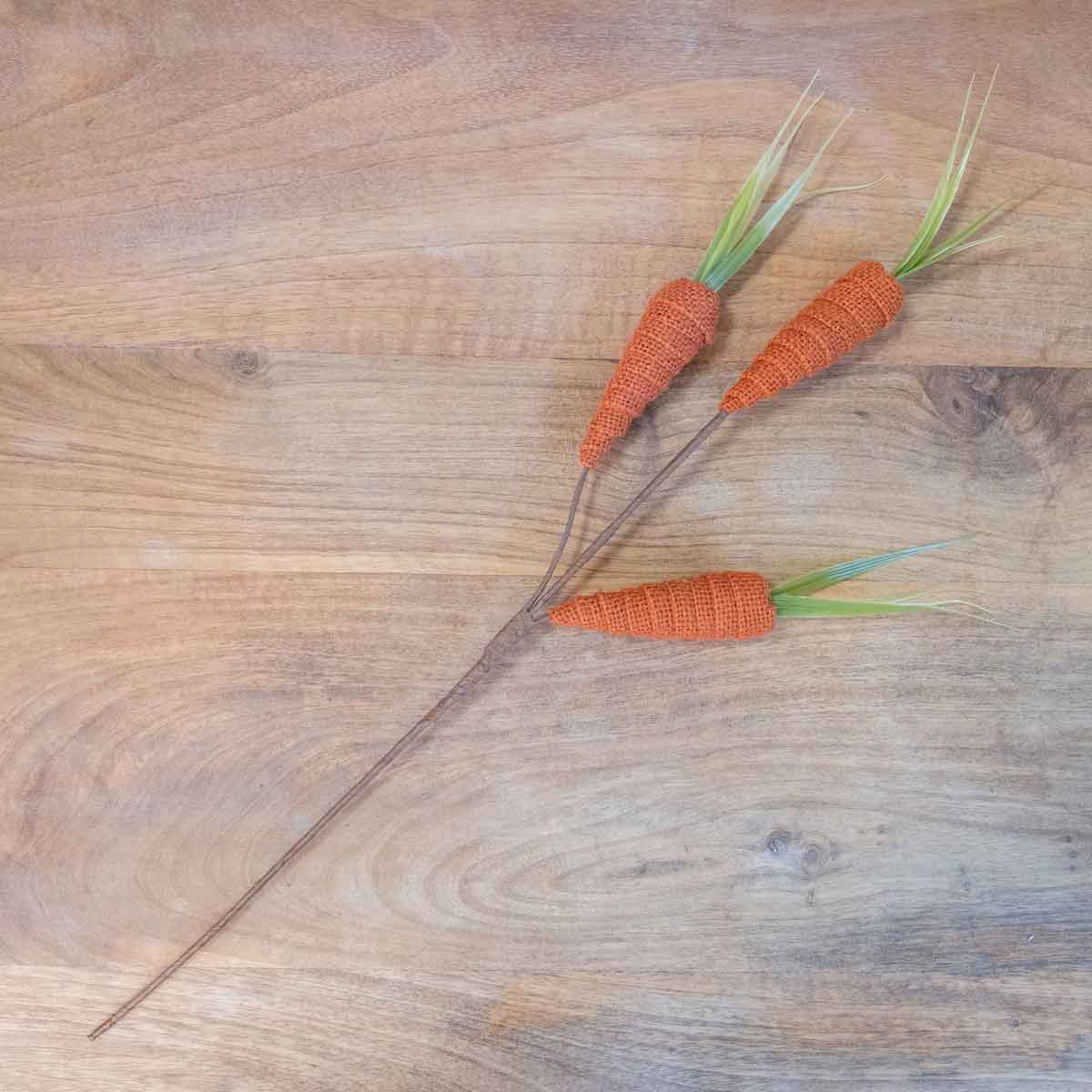 Carrot Stem